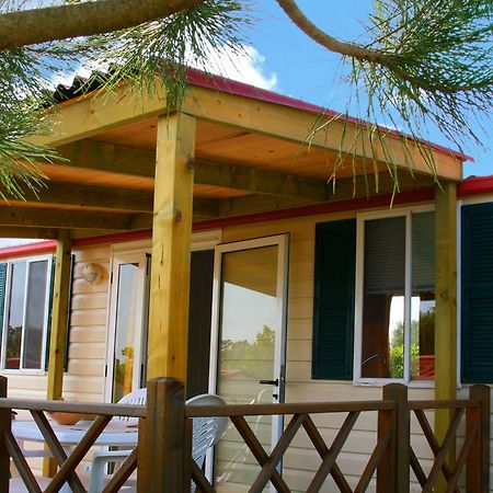 Camp Dole Zivogosce Hotel Podgora Exterior foto