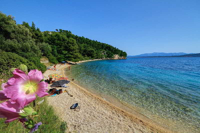 Camp Dole Zivogosce Hotel Podgora Exterior foto